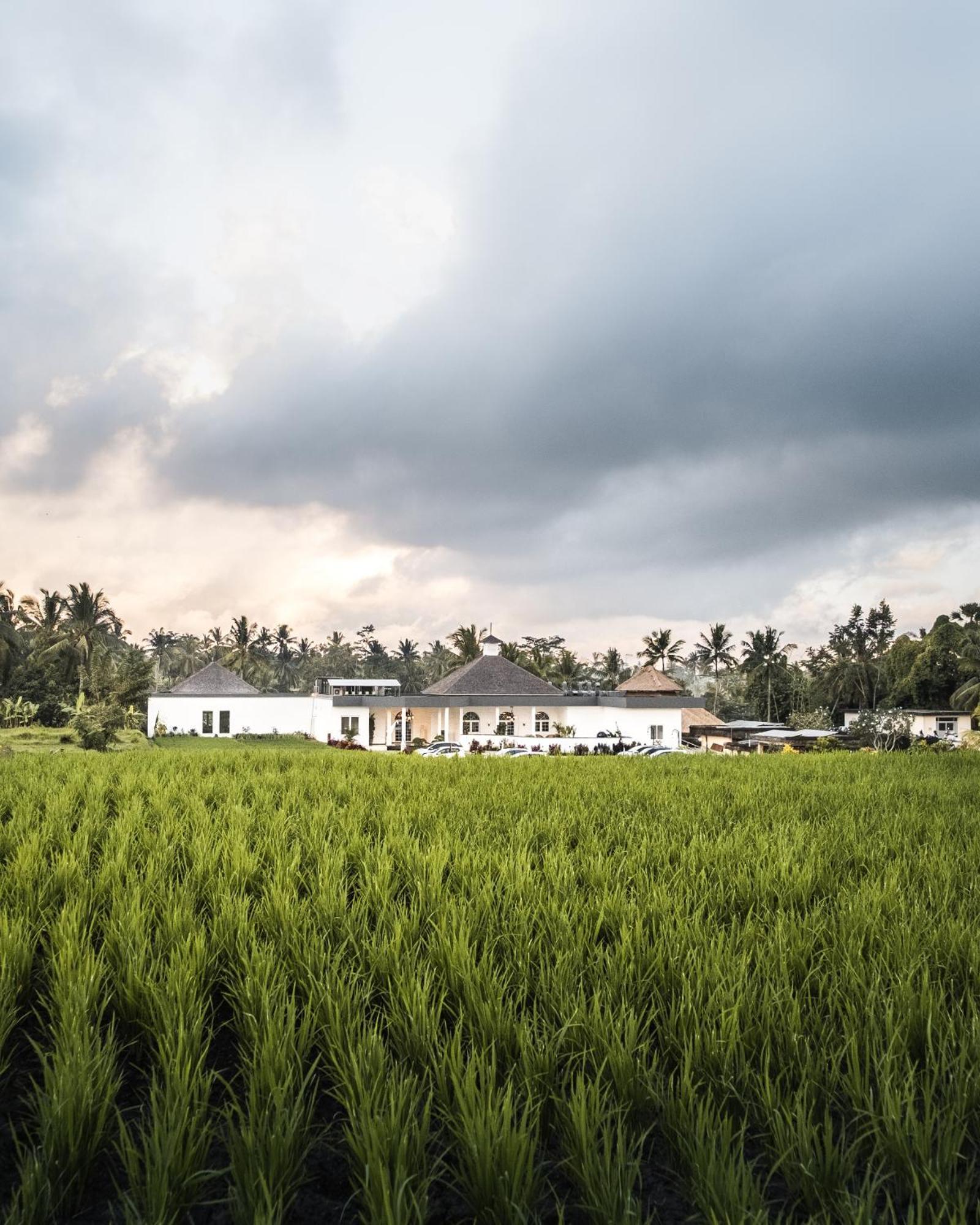 Cascades Suites Ubud Exteriér fotografie